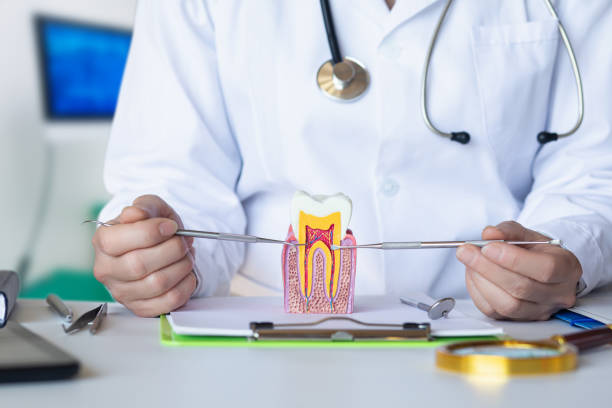Best Tooth Pain Emergency Relief  in Circleville, OH